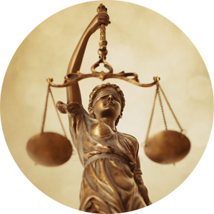 marc a stephens legal information